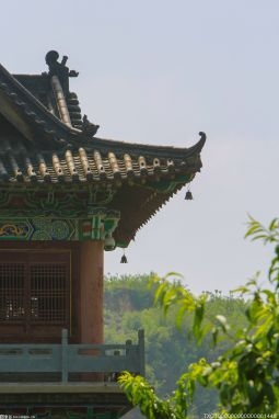 【旧改进行时】杭州拱墅区文晖街道打铁关新村完成旧新村改造