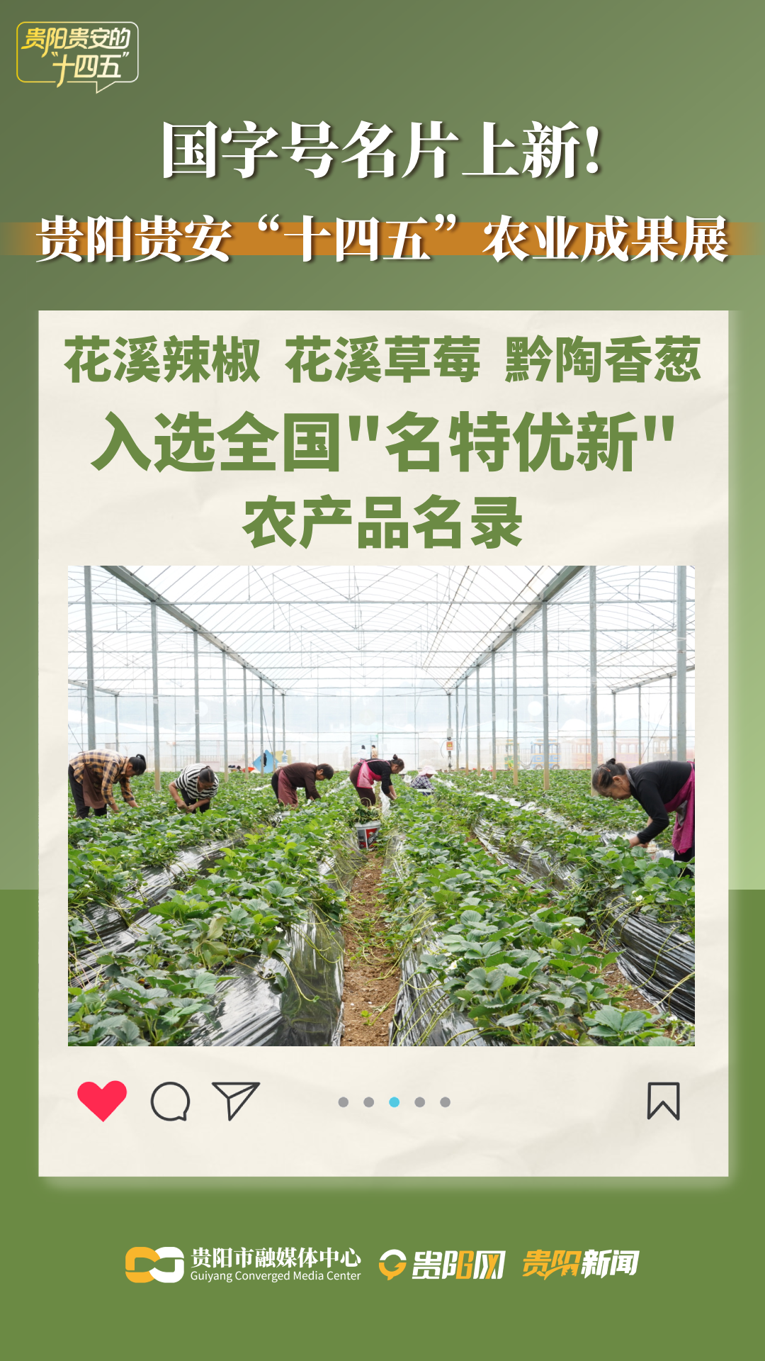 花溪辣椒、花溪草莓、黔陶香葱 .png