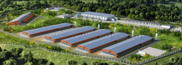 “动物福利＋数字养殖” ！探秘圣迪乐如何引领蛋品产业升级？