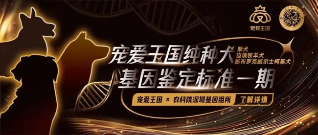 《純種犬品種基因標(biāo)準(zhǔn)》共建計(jì)劃 正式發(fā)布 品種標(biāo)準(zhǔn)從外觀(guān)表型向基因科學(xué)的模式升級(jí)