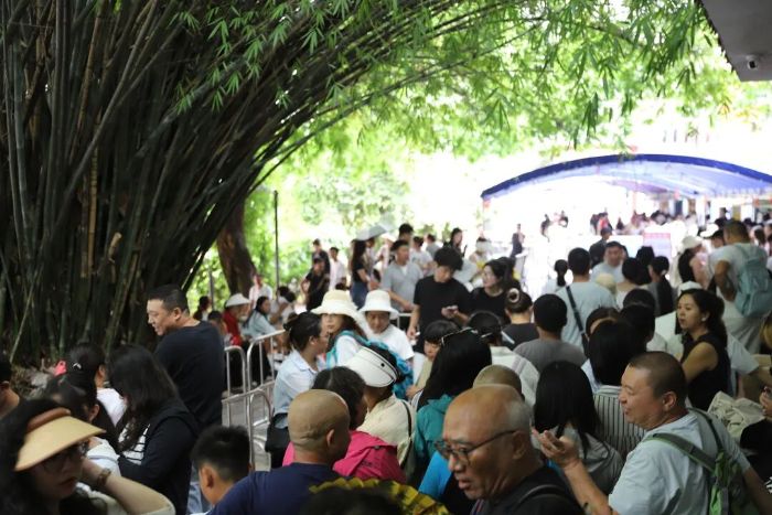 日均接待6000人次！黔灵索道迎来避暑客流高峰